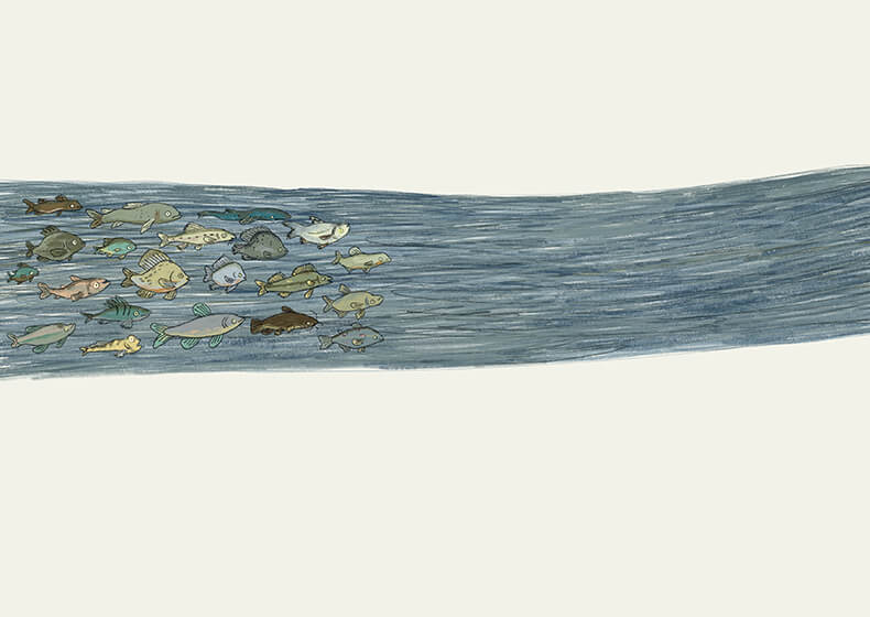 Hamburg liest die Elbe 2025 Illustration von Luzie Christ